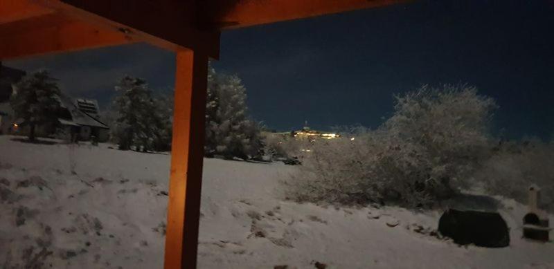 Altenberg Holzblockhaus Magdalena 빌라 외부 사진